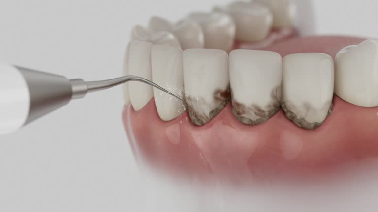 Reliable Dental contractor in Glencoe, FL by Dentist Open Now